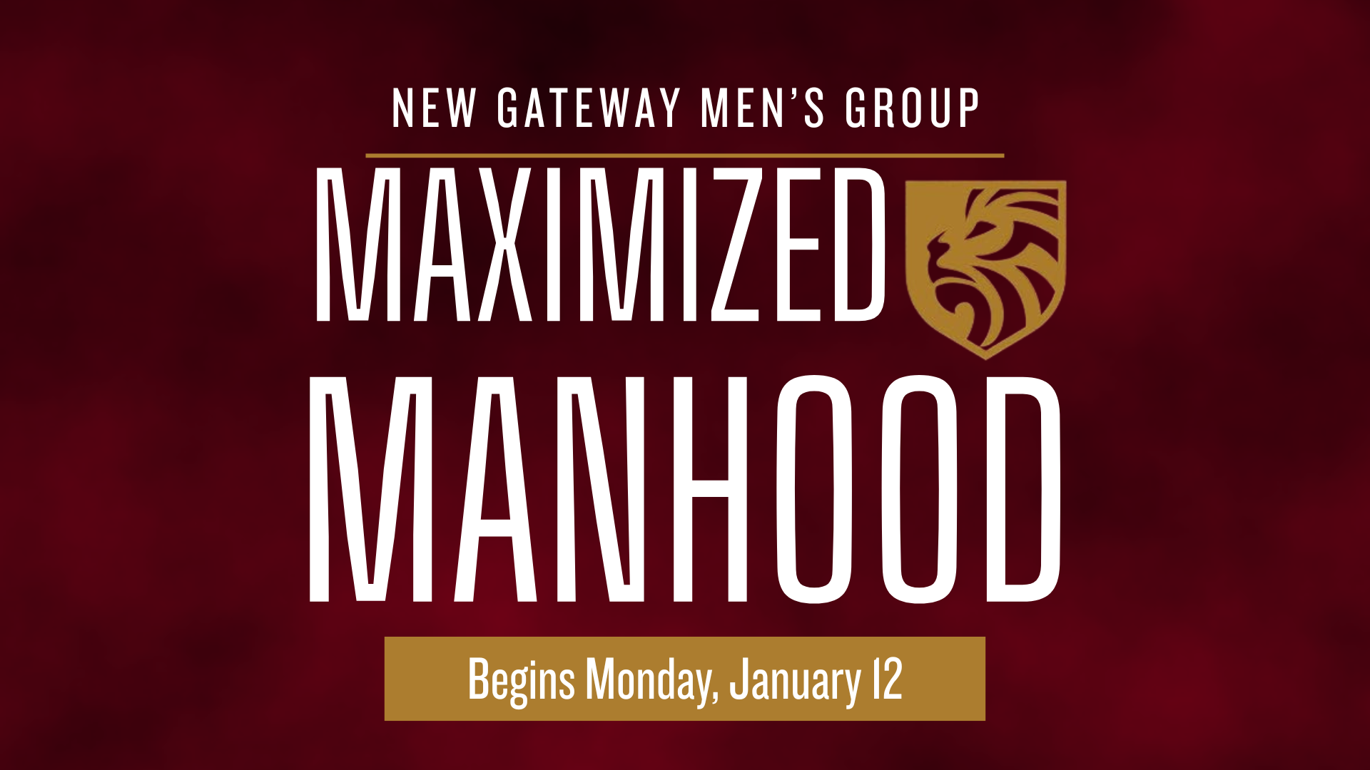 MAXIMIZED MANHOOD (2).png