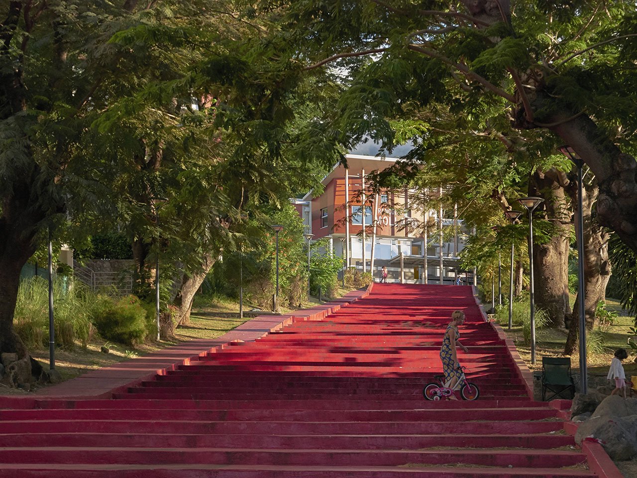 Dix ans de transformations aux Camélias!