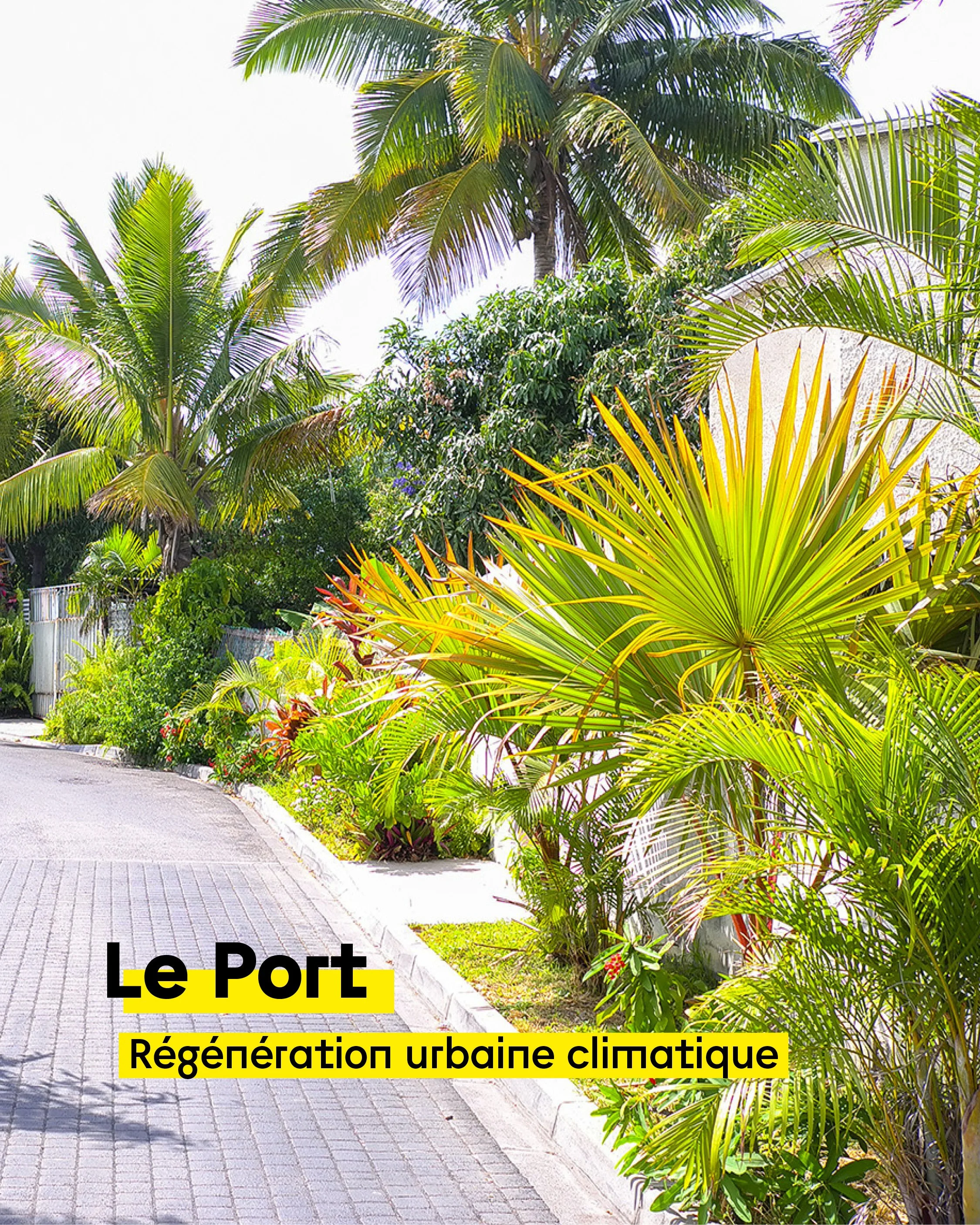 Et si les quartiers prioritaires ultra-marins détenaient les clés d'une régénération urbaine plus écologique ?