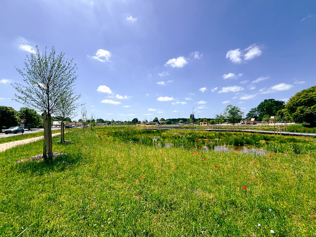 ZCCS-71RUAUDIN-PH-FERMES-DOUVESIMG_7875.jpg