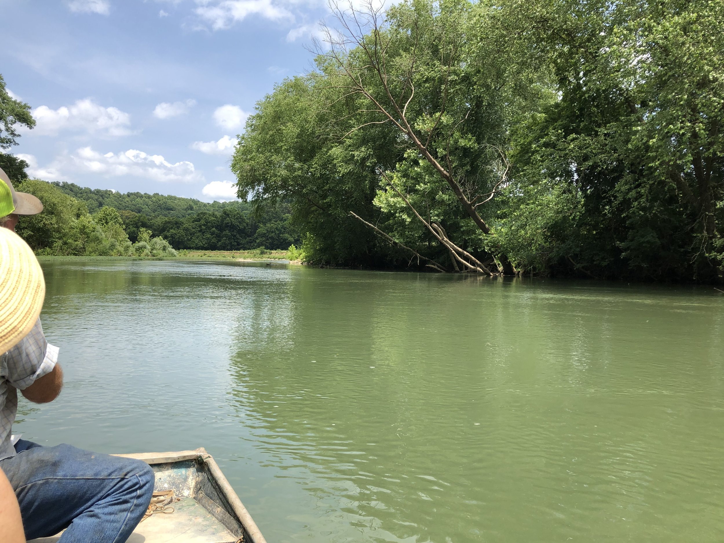  Floating the Buffalo River 