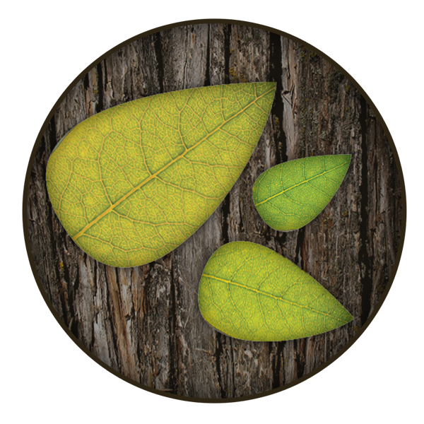 band_symbol_bark_green (2).png
