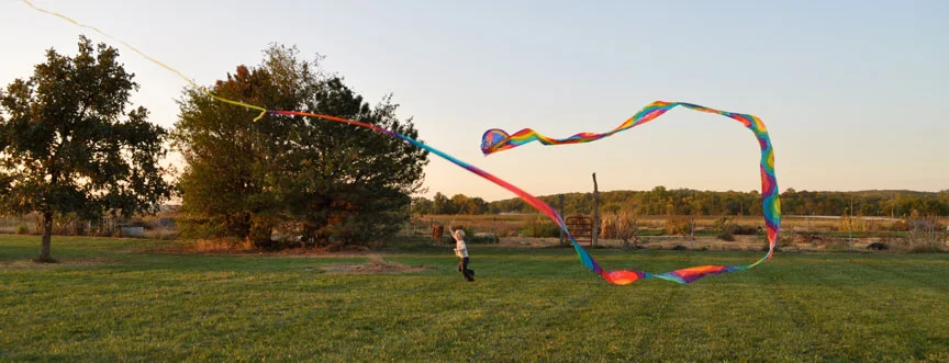 kite flying.jpg