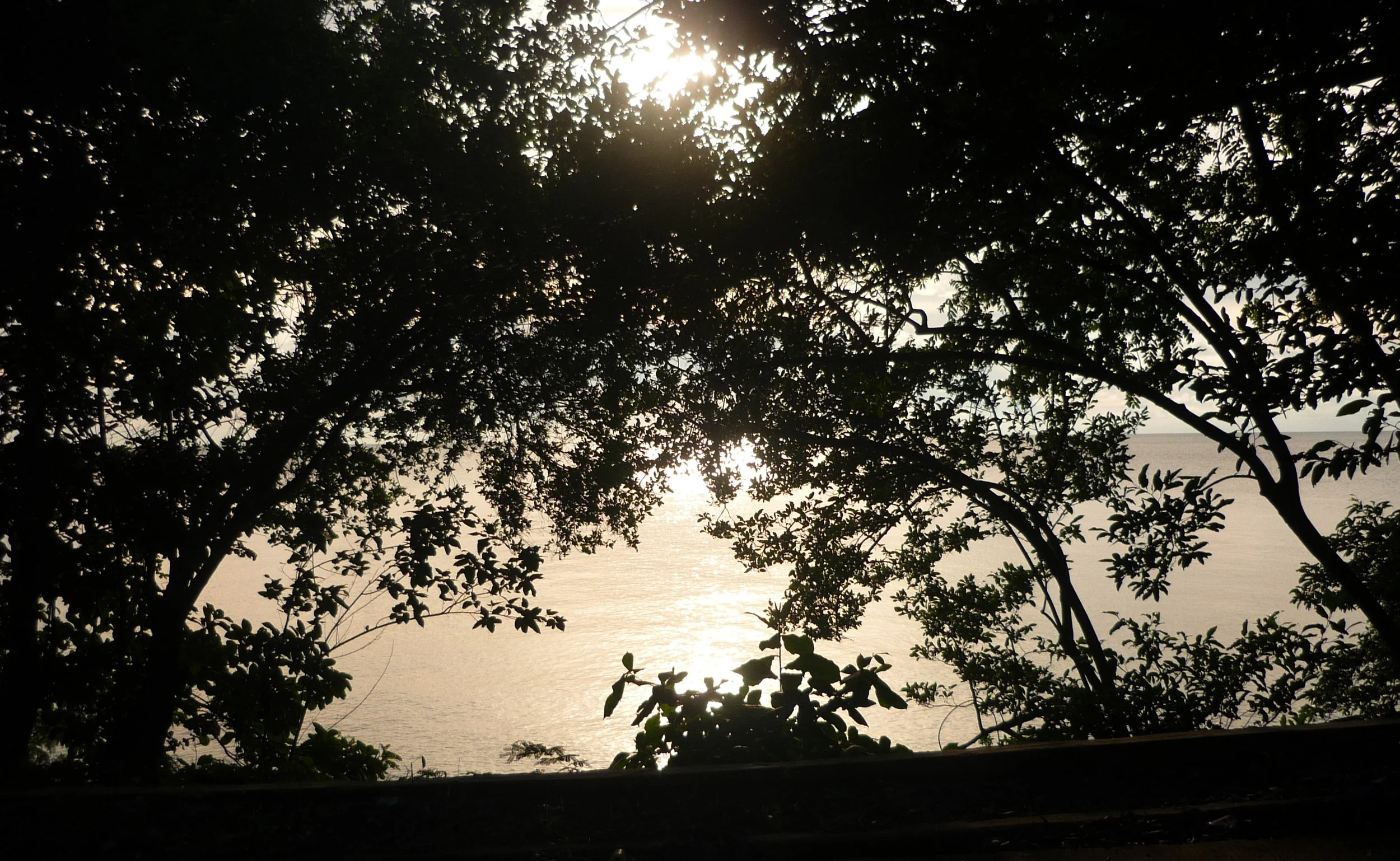 P1010450.JPG