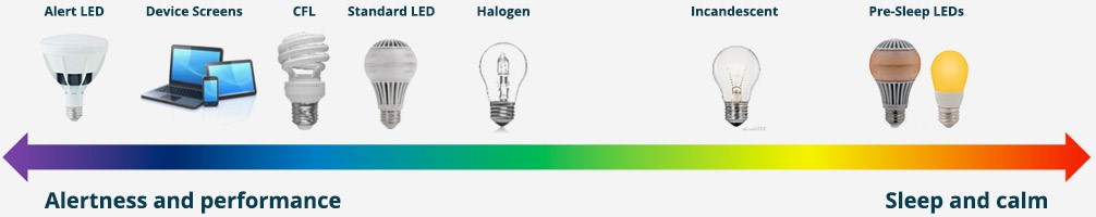 light fixtures.jpg