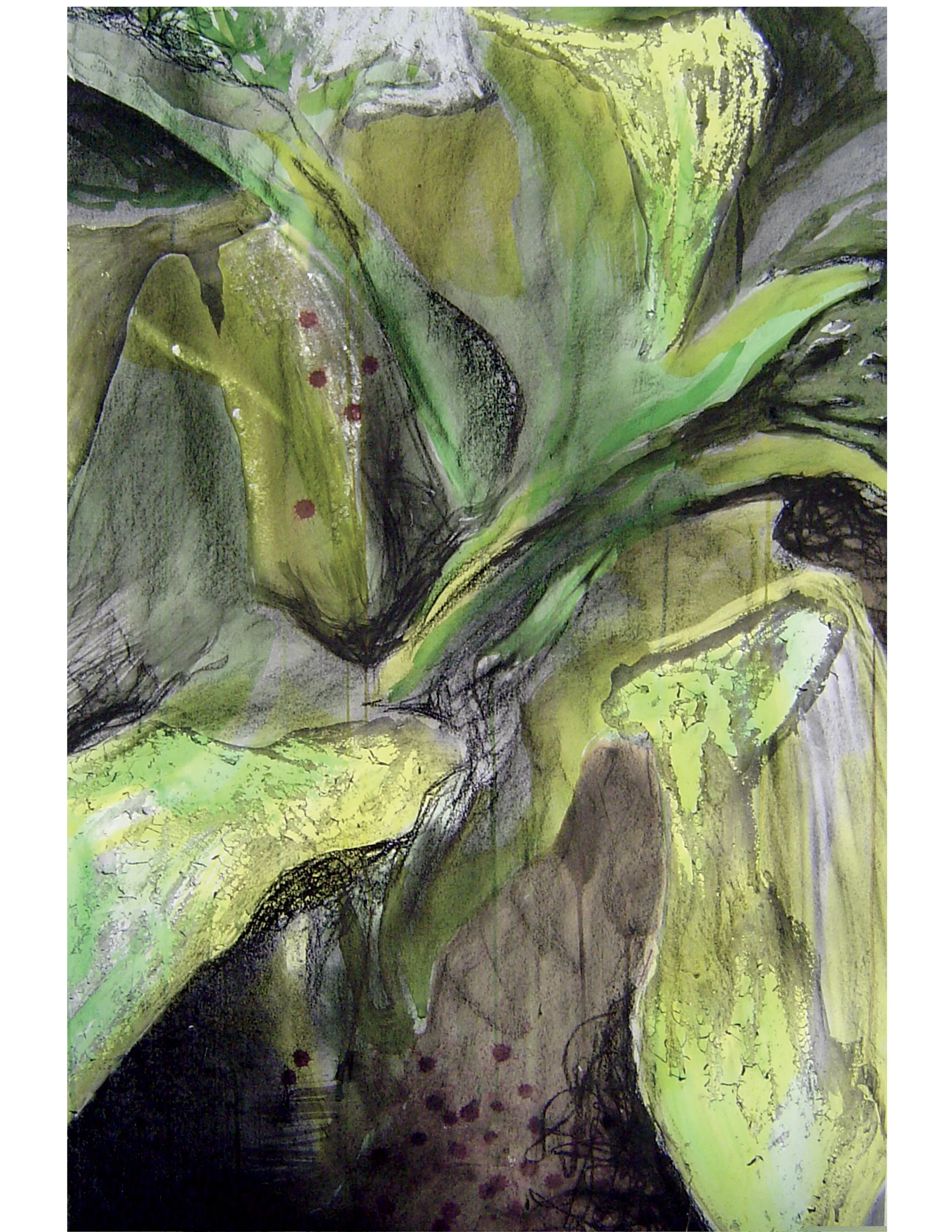 plantPaper1.jpg