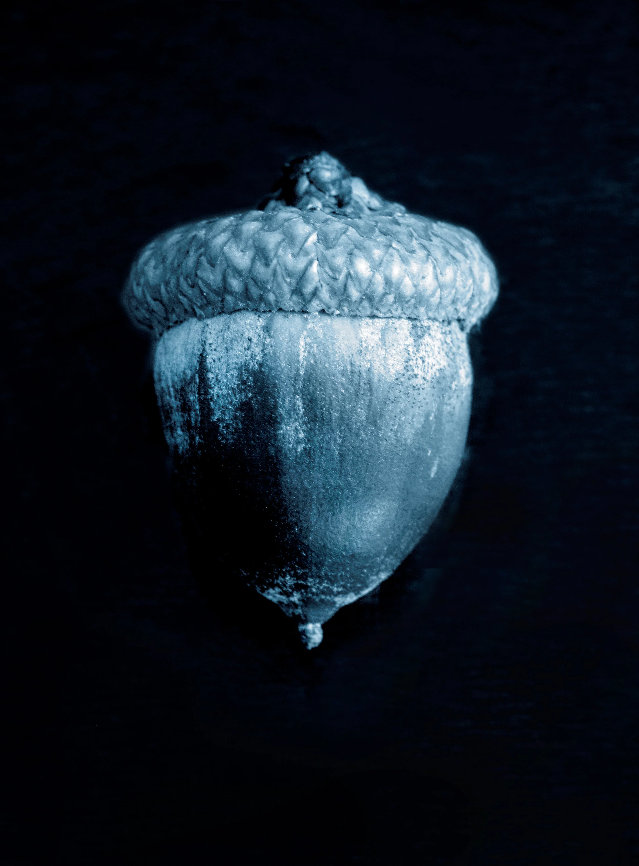 TOAF_reprocess_2019 16.jpg