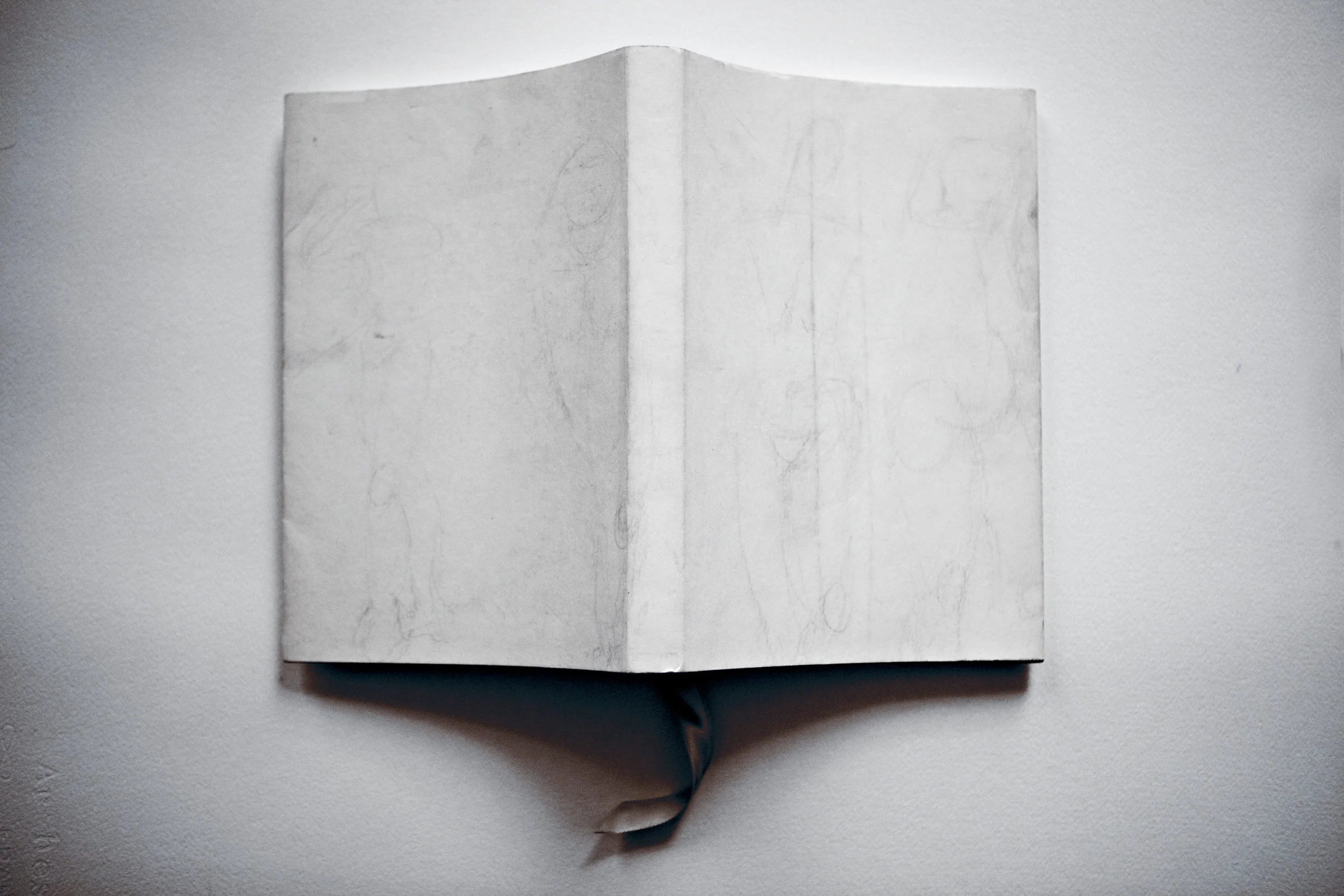 TOAF_reprocess_2019 6 copy.jpg