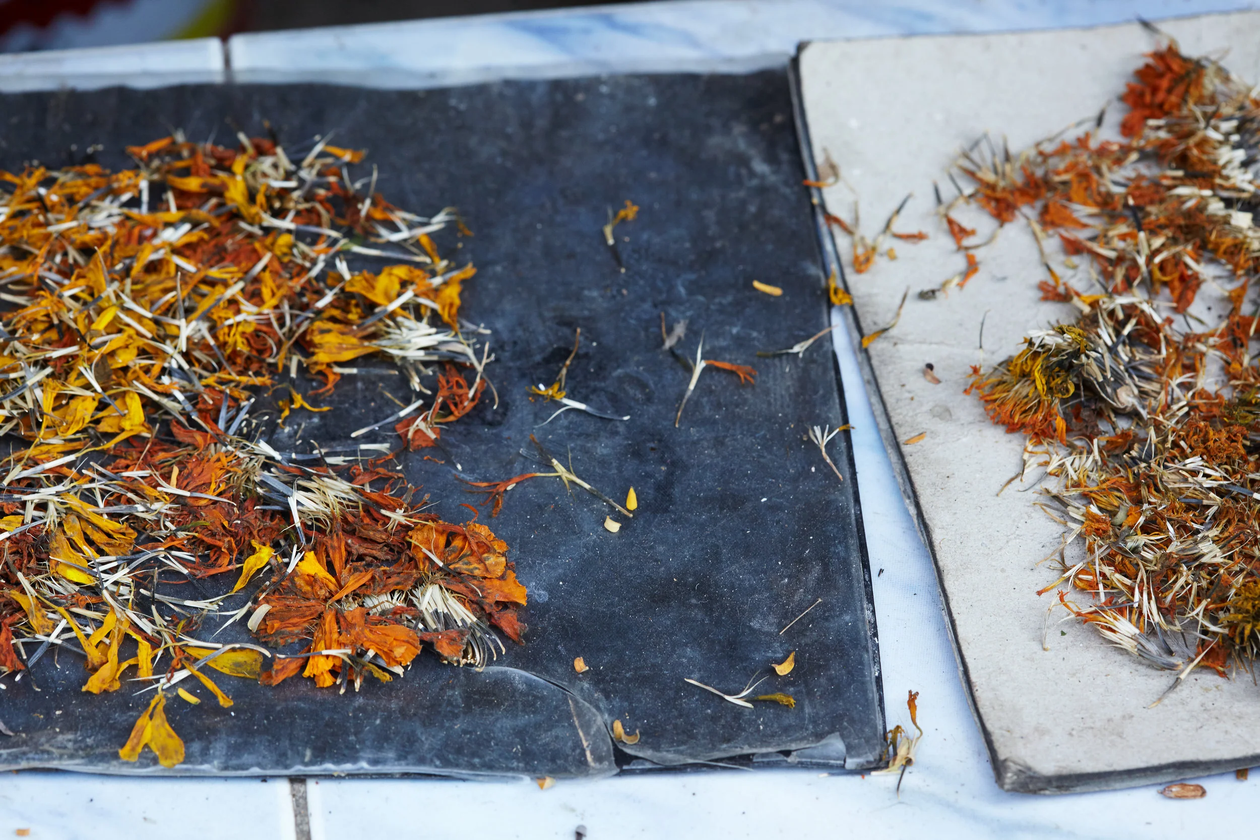 TOAF_reprocess_2019 10.jpg