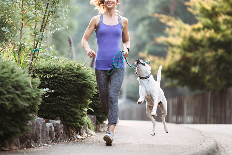 Dog Clueless About Pace, Heart Rate, Foot Strike