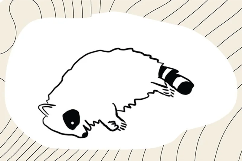 Dumb Runner Field Guide #1: How to Deal With Roadkill