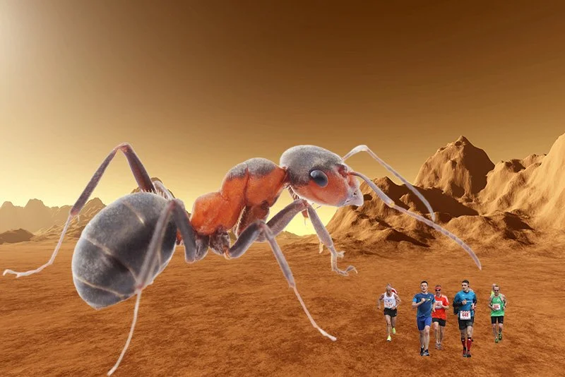 OUTRAGE ALERT! These Runners Are Furious After a Wormhole on Their Marathon Course Sent Them Tumbling Through Space and Time Into Another Dimension Populated by Enormous Ants
