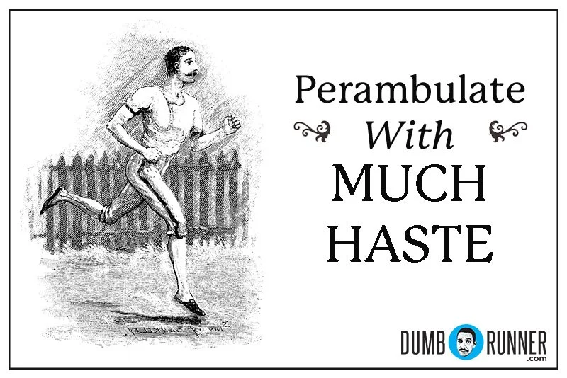 Dumb Runner Poster #260