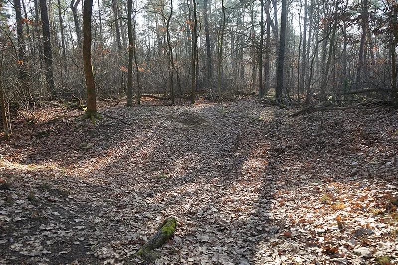 No Finishers at 2026 Barkley Marathons as Earth Opens Its Mouth to Swallow Shrieking Participants Into the Realm of the Dead Before Closing Over Them Forever