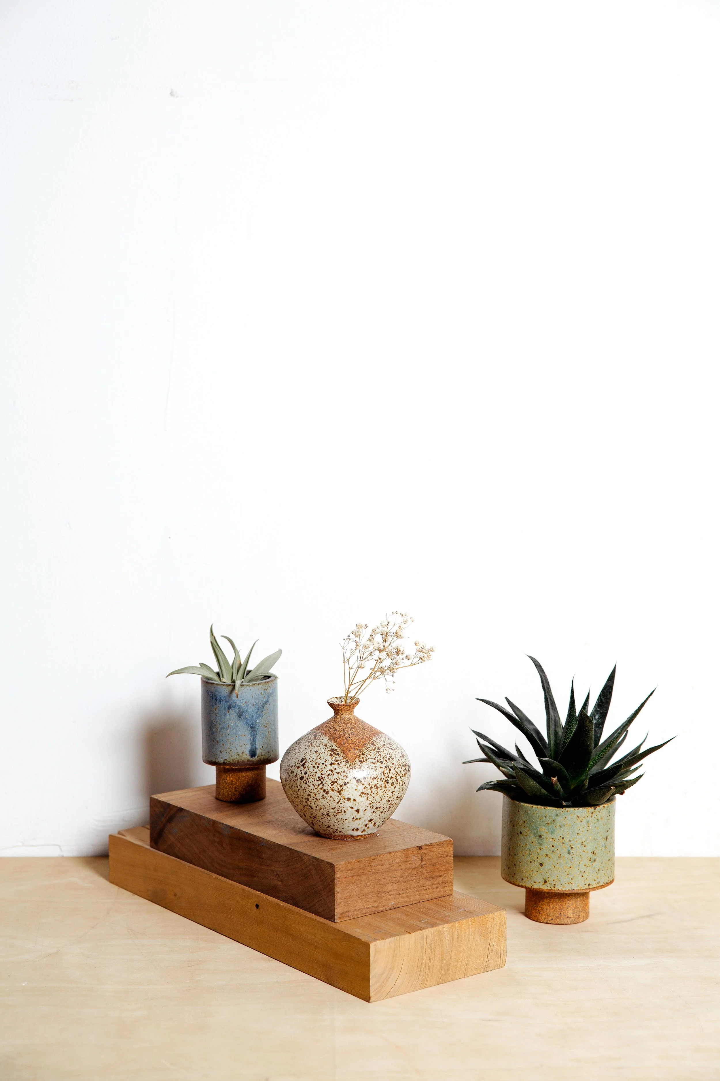 A Question of Eagles_014.JPG