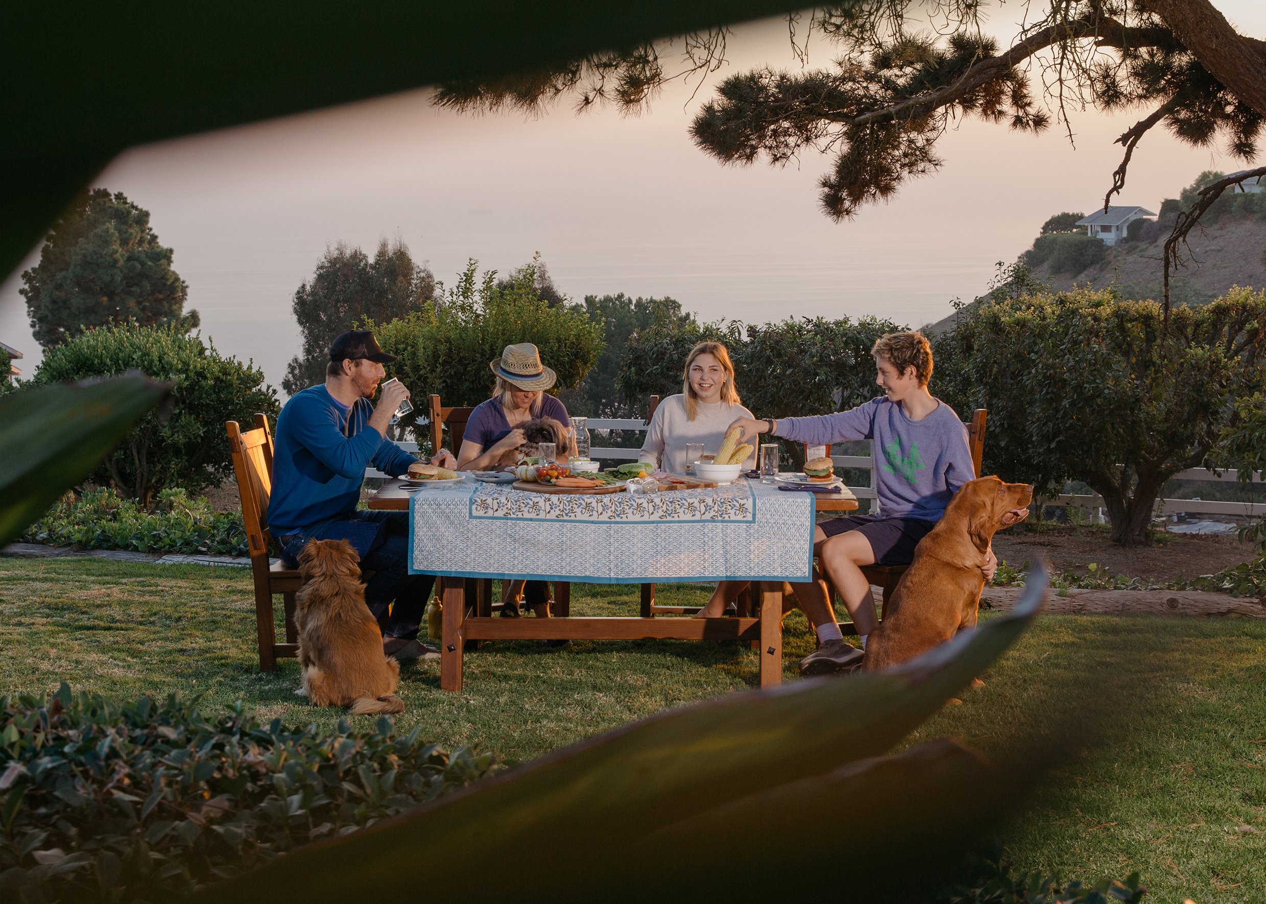 00xp-virus-family-dinners_011.2jpg.jpg