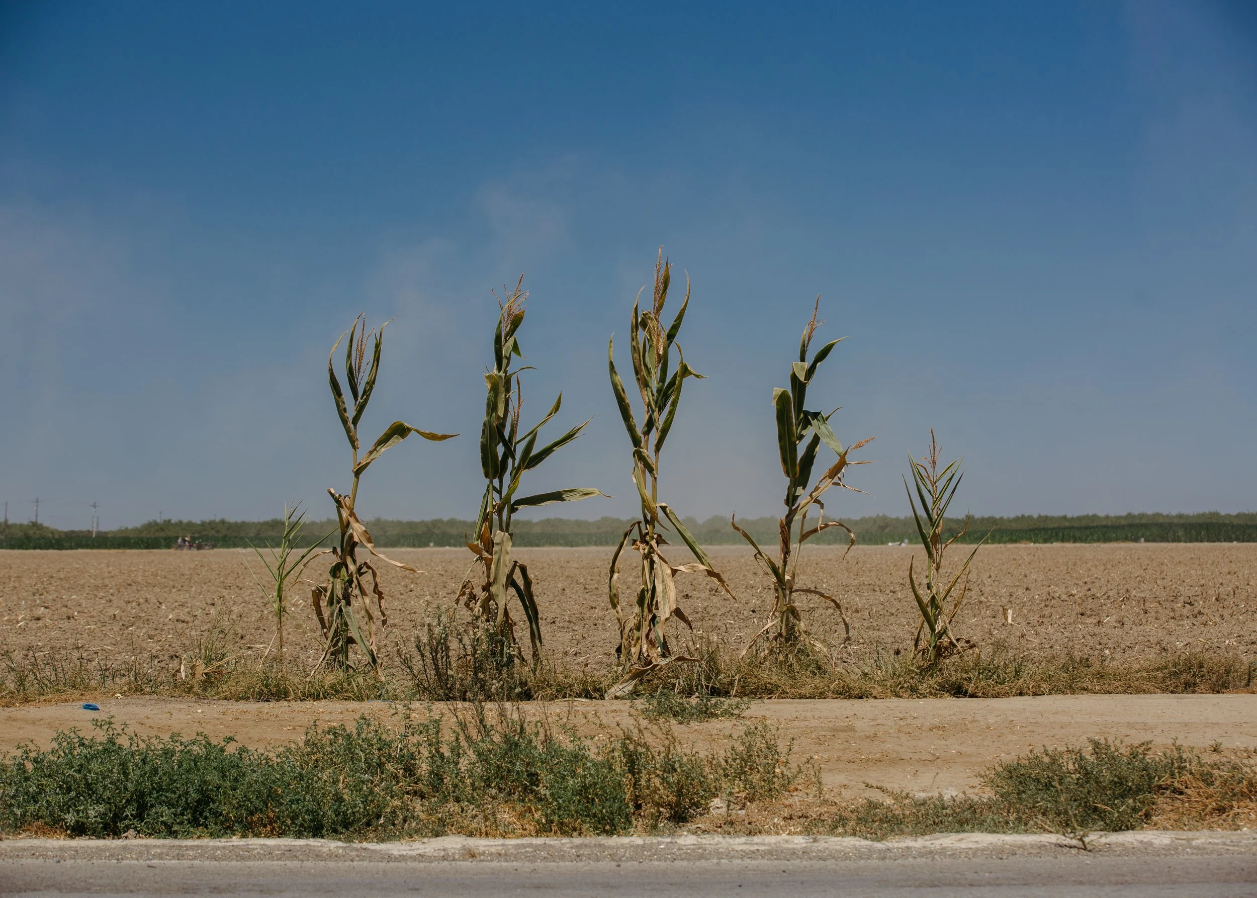 FARMWORKERS_028.JPG