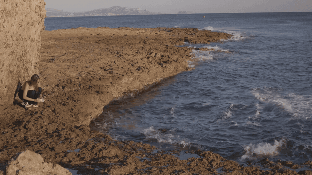 gif_AdobeExpress (4).gif