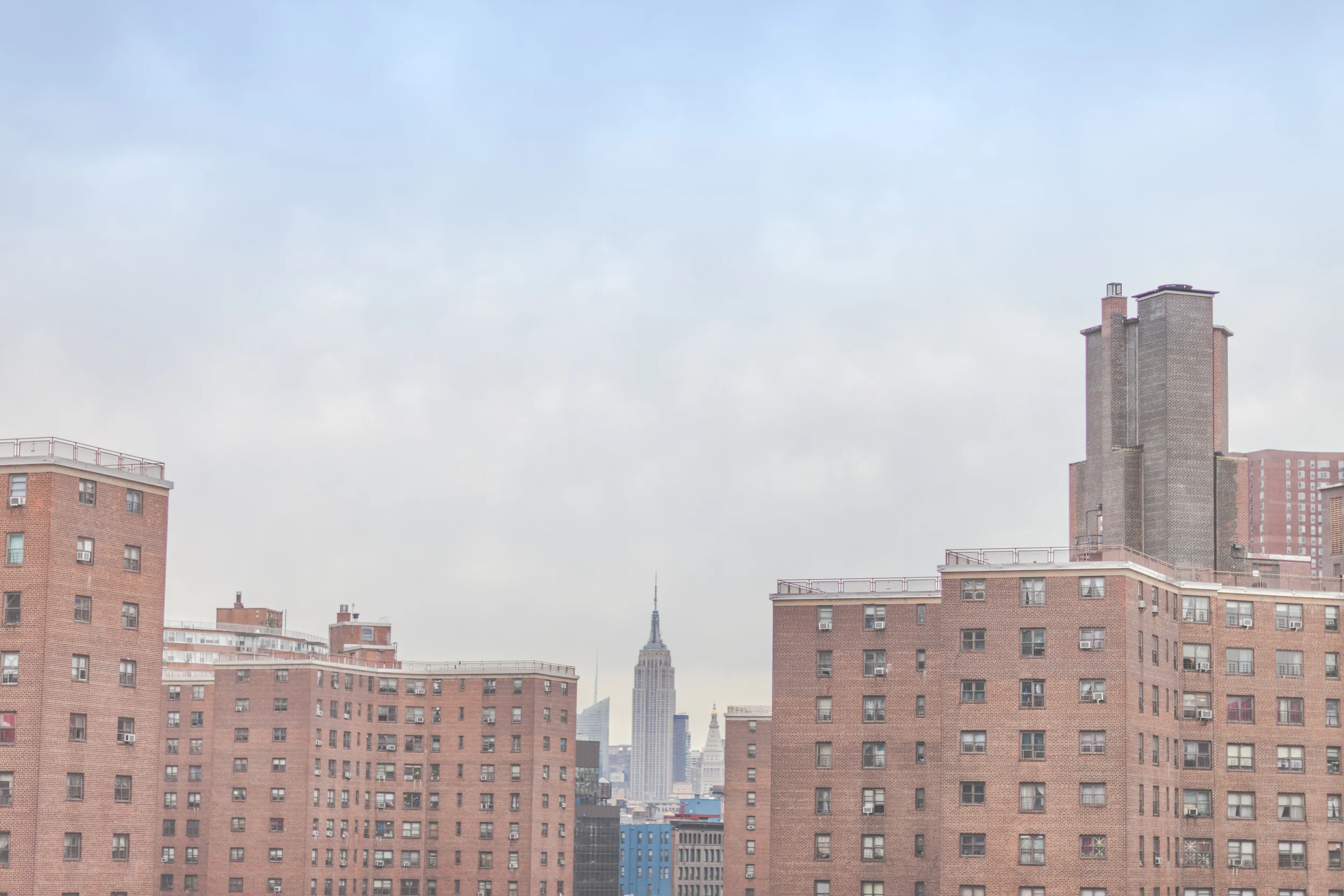 _MG_5339.jpg