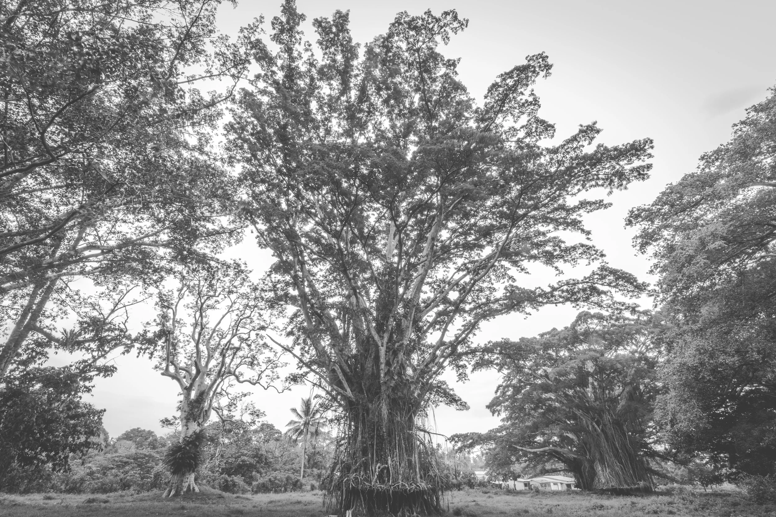 VANUATU-13.jpg