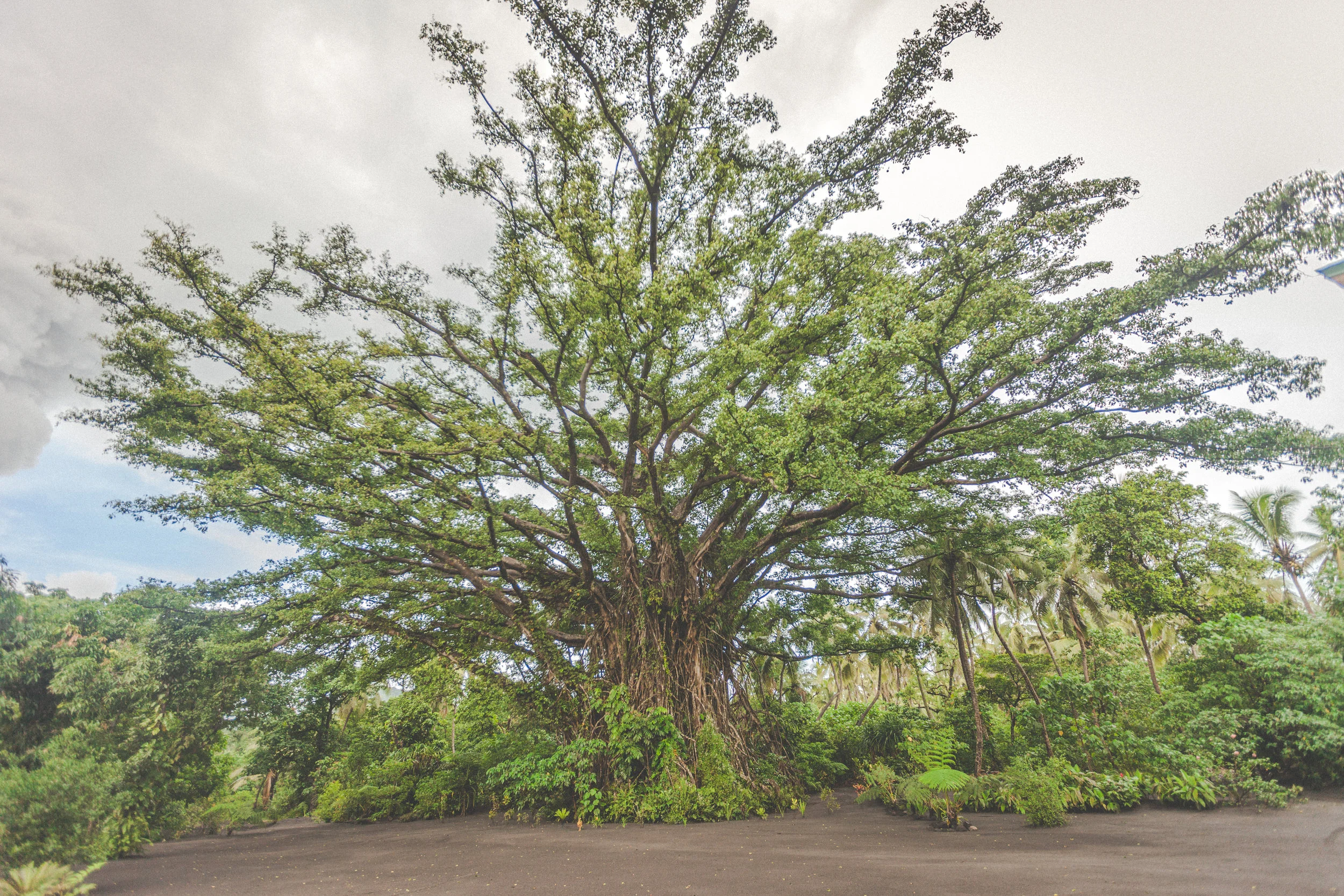 VANUATU-55.jpg