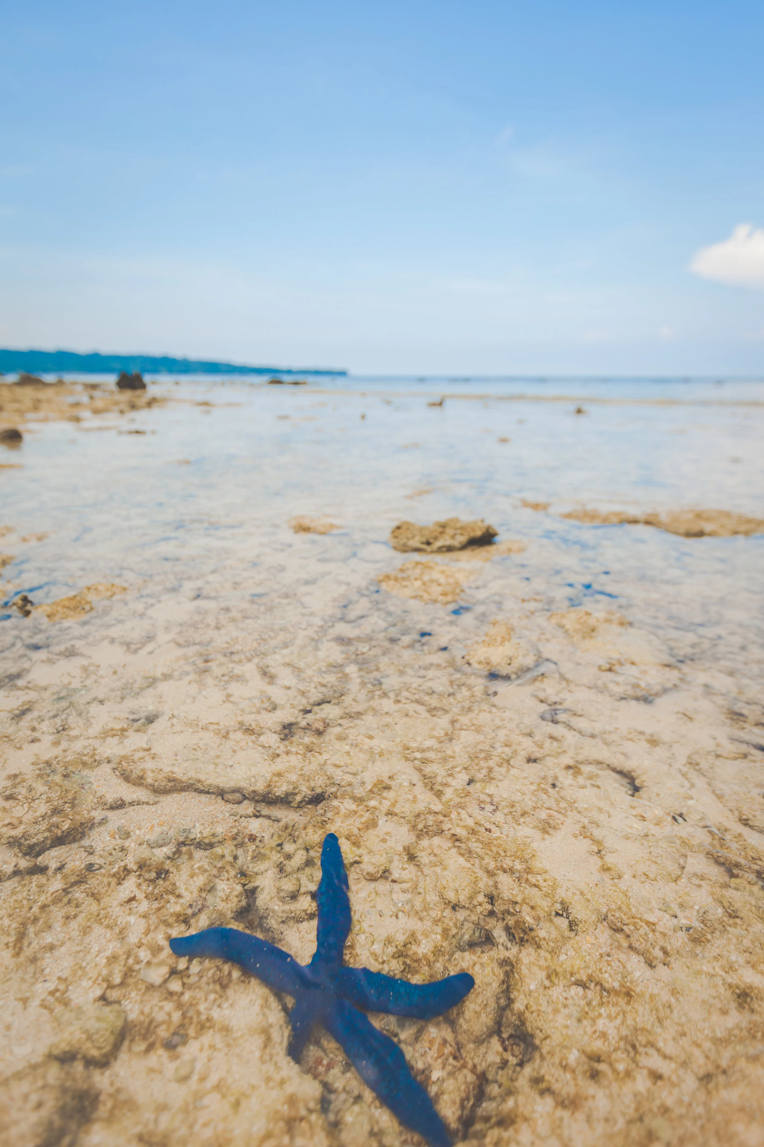 VANUATU-160.jpg