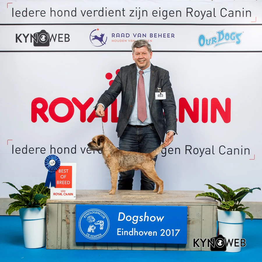 403_EINDHOVEN_2017_Kynoweb_Kynoweb-Ernst-von-Scheven_20170203_14_18_52.jpeg