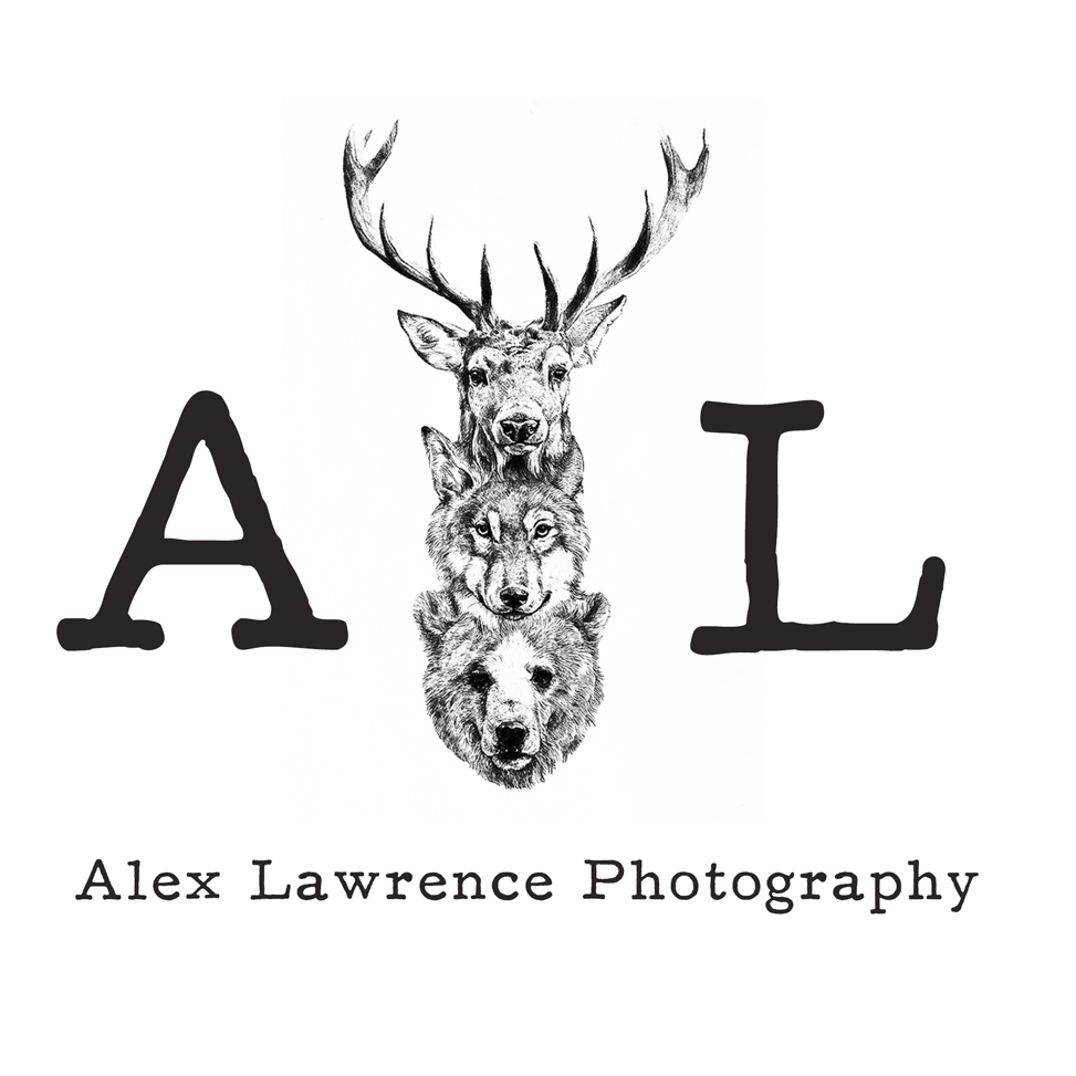 Milton Keynes Wedding Photographer | Alex Lawrence Photography