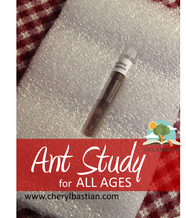 Ants.png