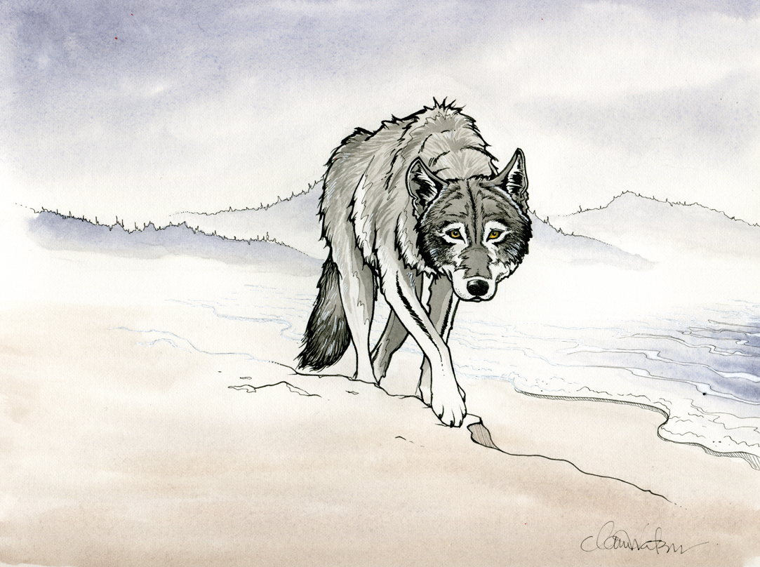 Wolf In The Fog