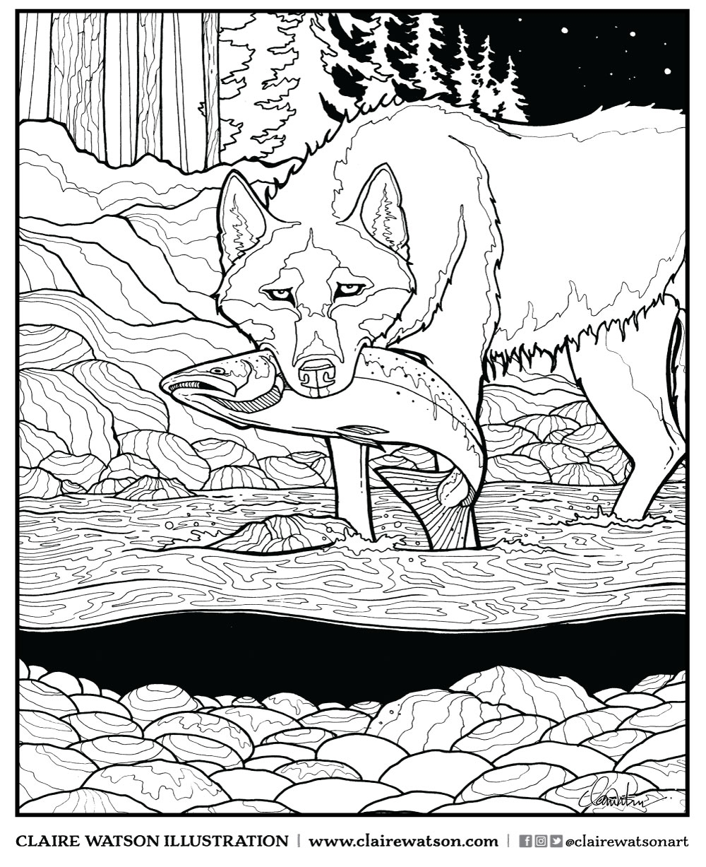 coastal-wolf-colouring-page-claire-watson.jpg