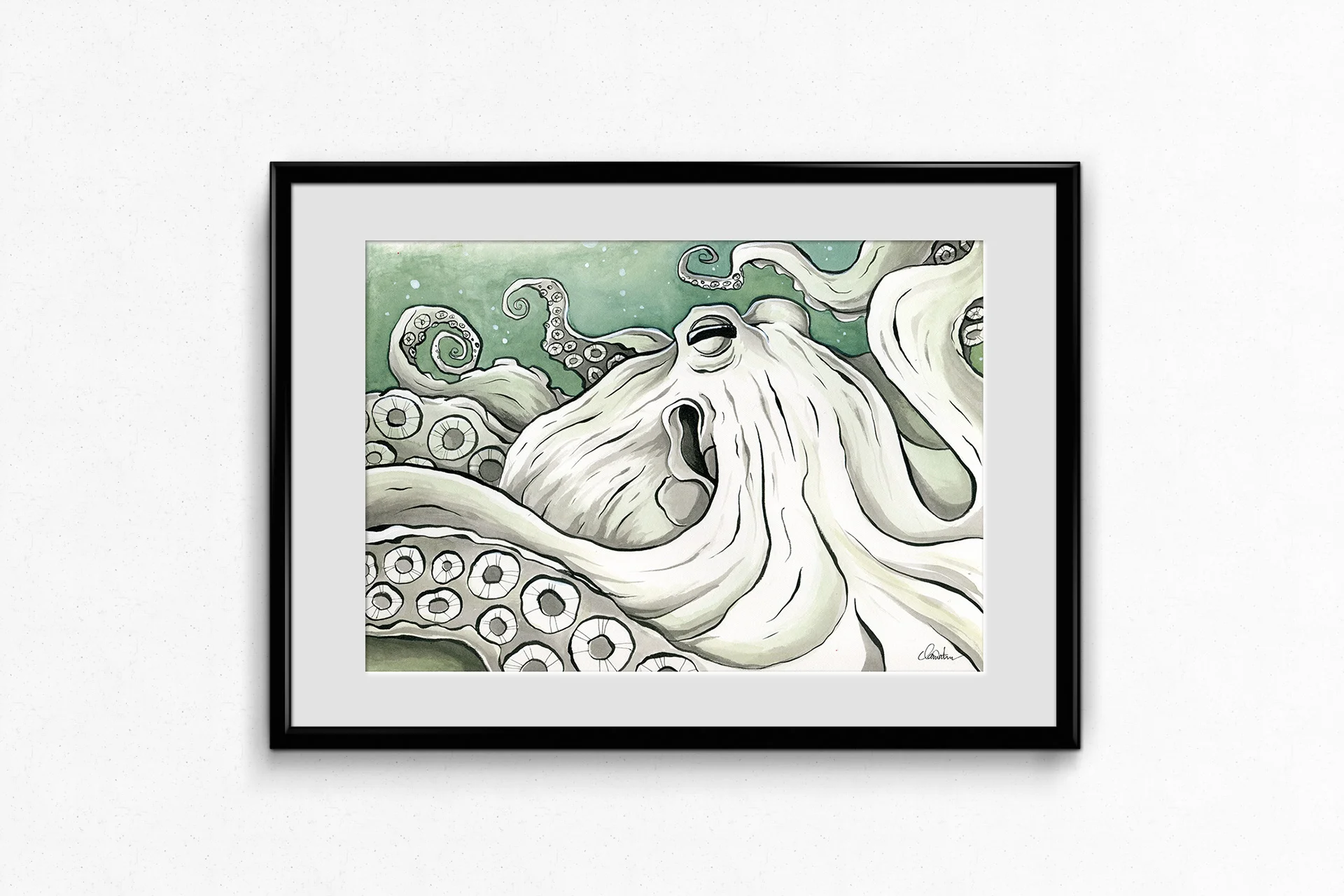 octopus.jpg