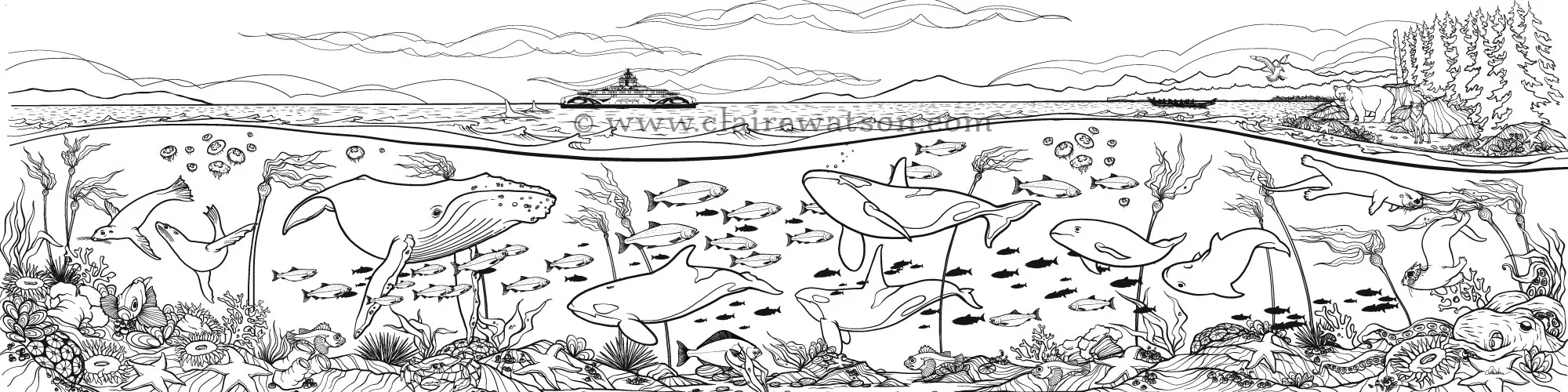 BC Ferries Sea Forward - 5' x 20' Colouring Mural