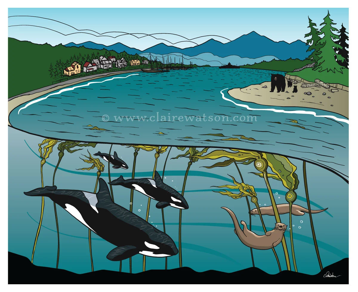 BC Ferries - Sea Forward Tent Backdrop