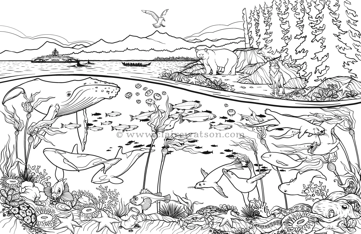 BC Ferries - West Coast Colouring Page