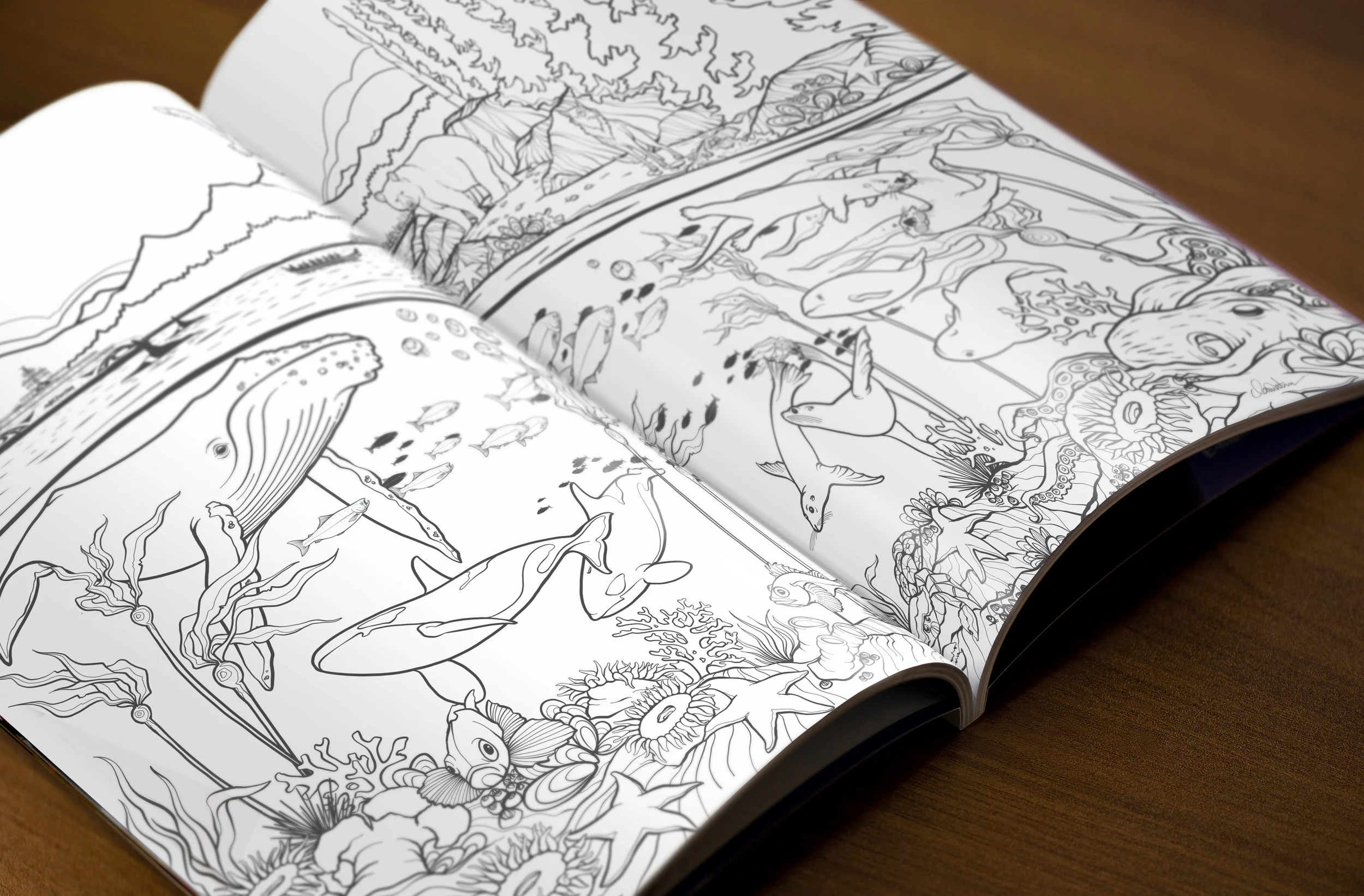 BC Ferries - West Coast Colouring Page - Mock Up