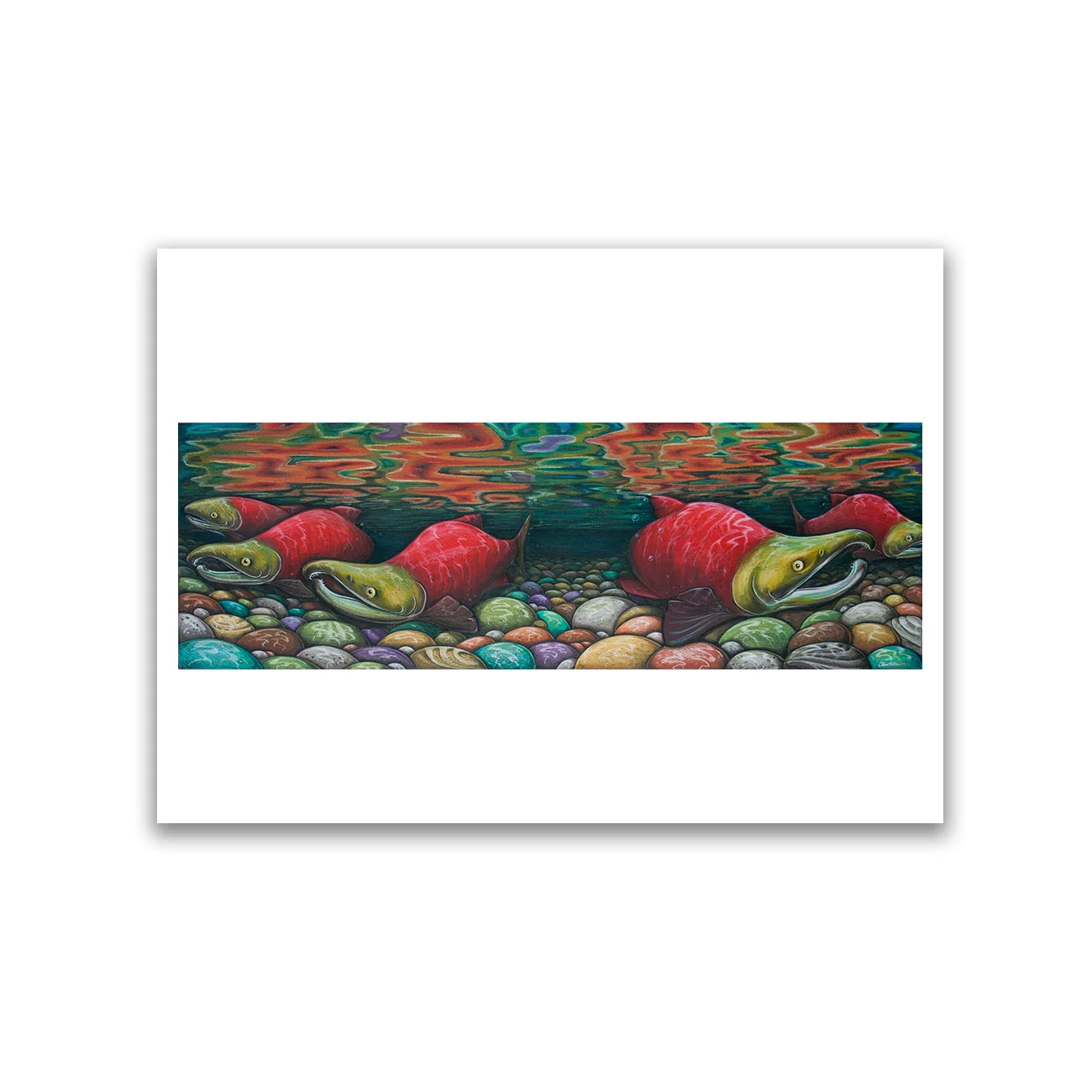salmon unframed.jpg