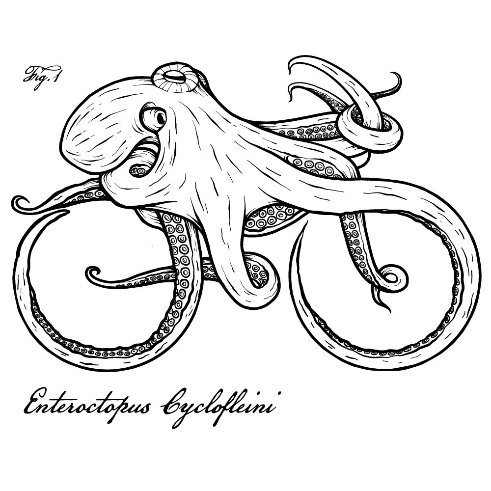 tofinoctopus72dpiweb_latin.jpg