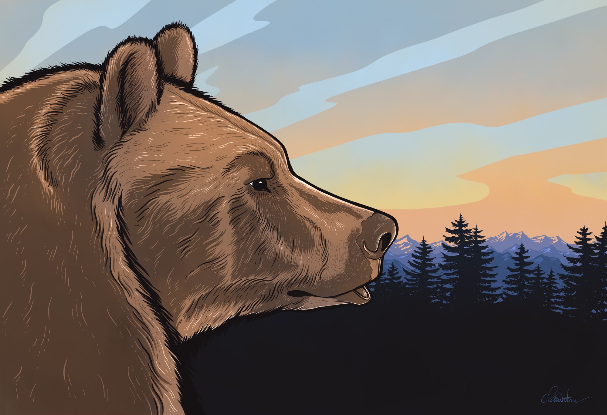 SunriseBear_noborder_72dpiweb.jpg