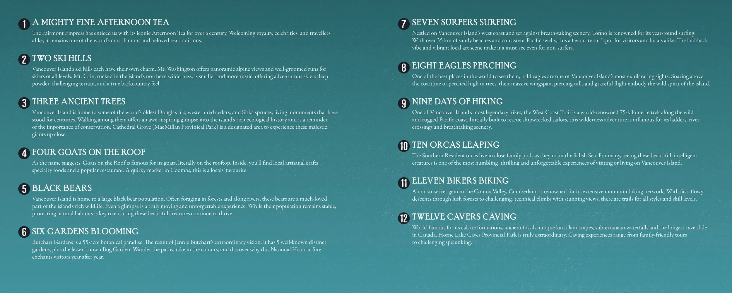 12Days_websize images16.jpg