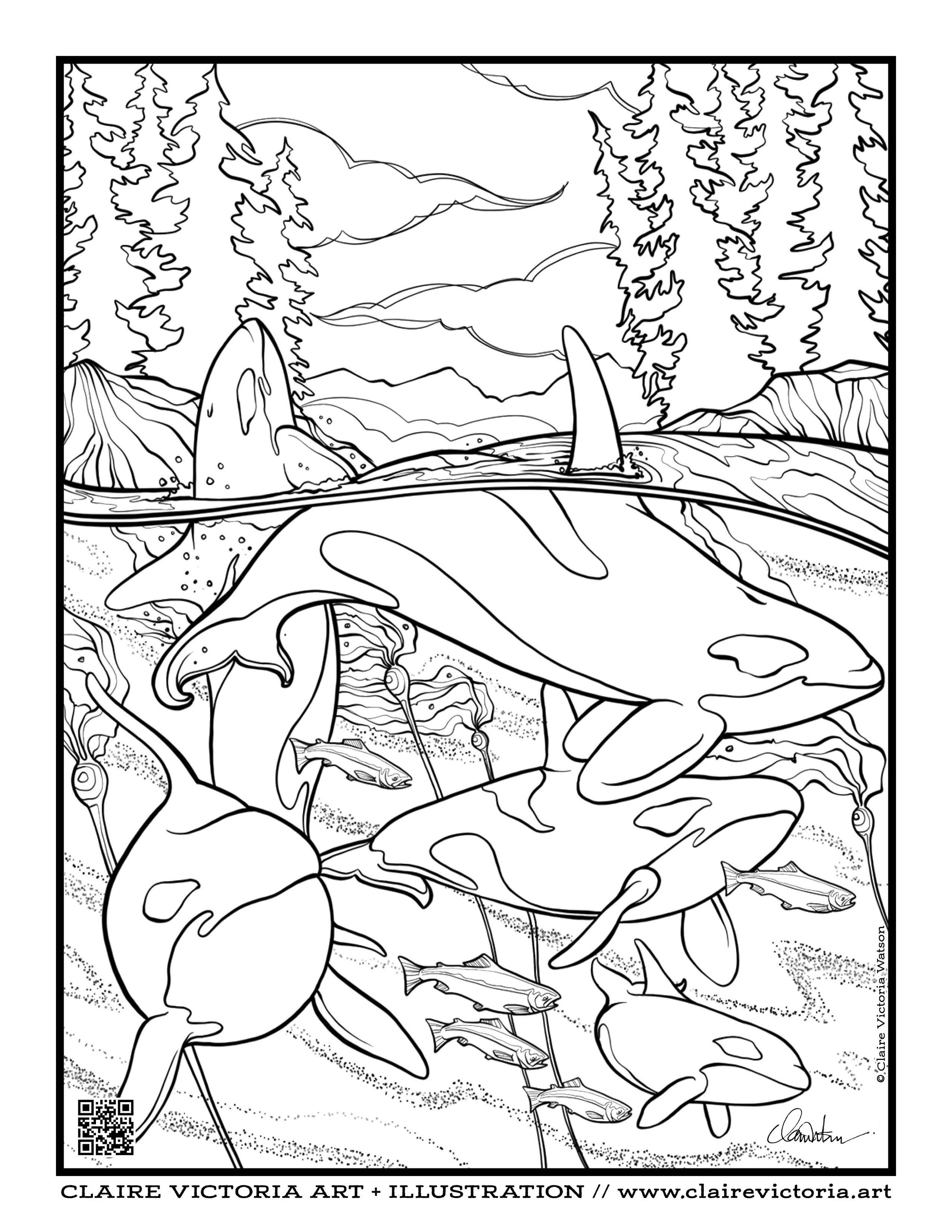 colouring pages cvicillo5.jpg