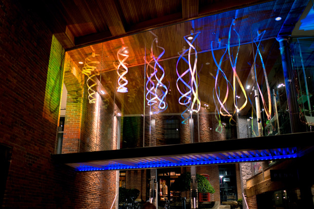 Light Forest <br> Wenting Guo, Ziyi Zhang & Juhun Lee