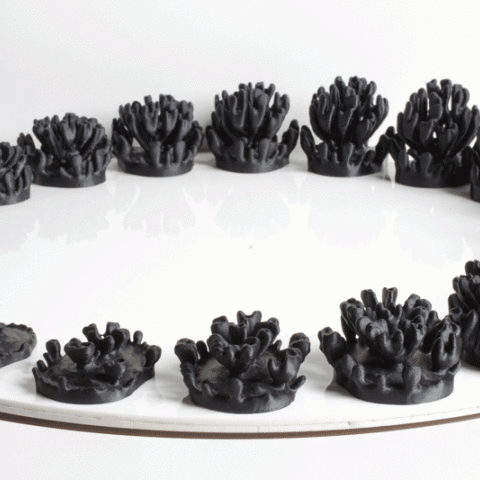 Growing Objects <br> Jessica Rosenkrantz & Jesse Louis- Rosenberg
