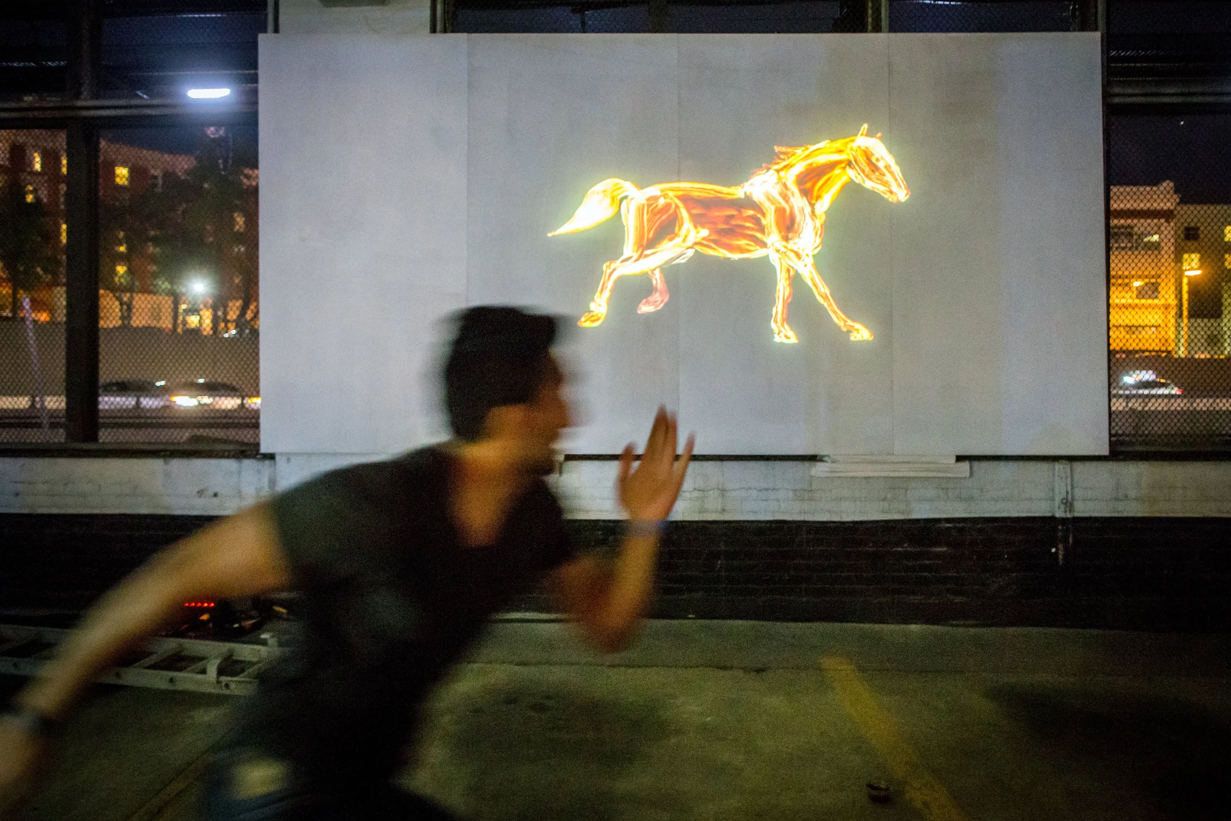 Gallop