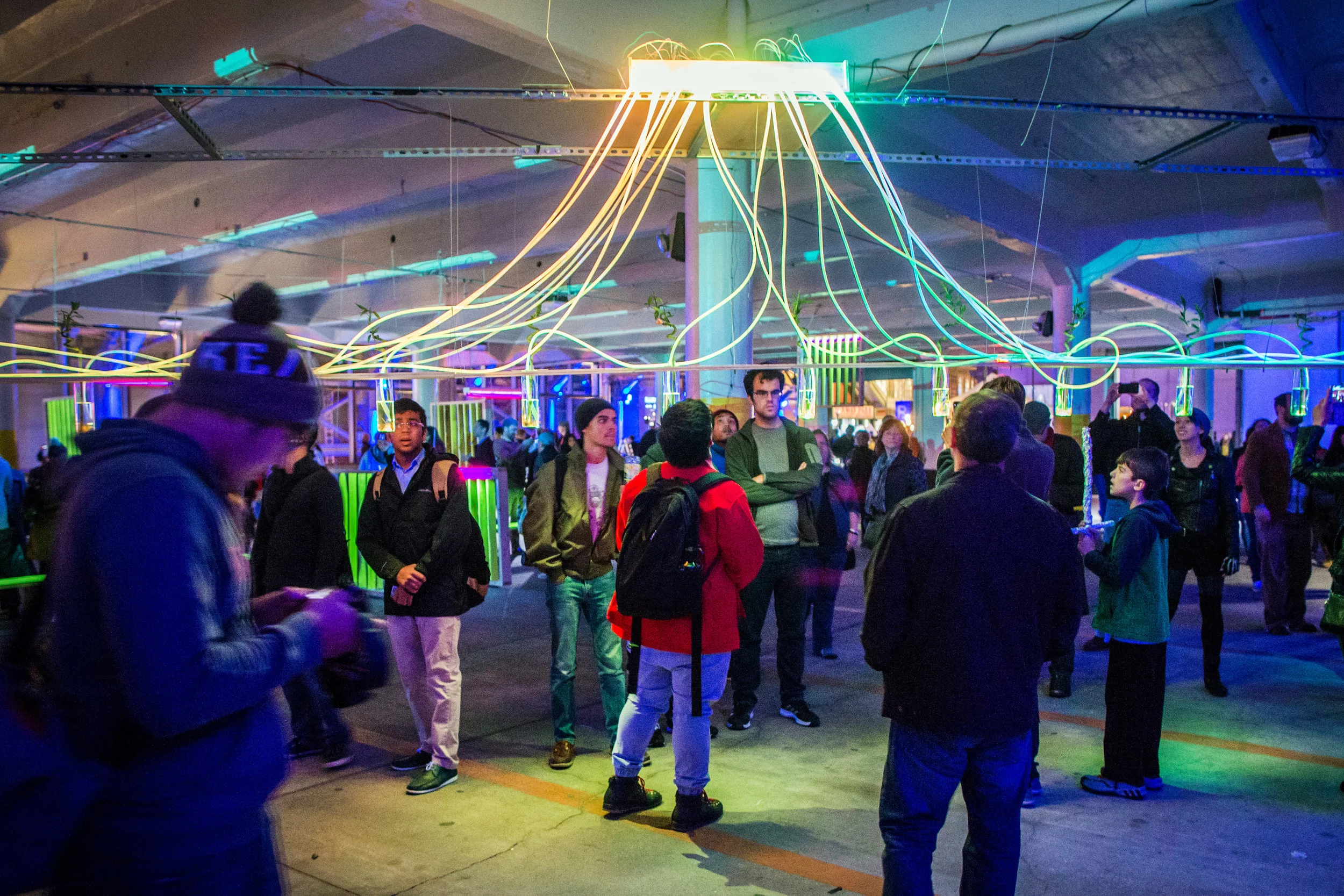 Cyborg Garden_Zenovia Toloudi_Illuminus 2015_Photo by Aram Boghosian_1.jpg