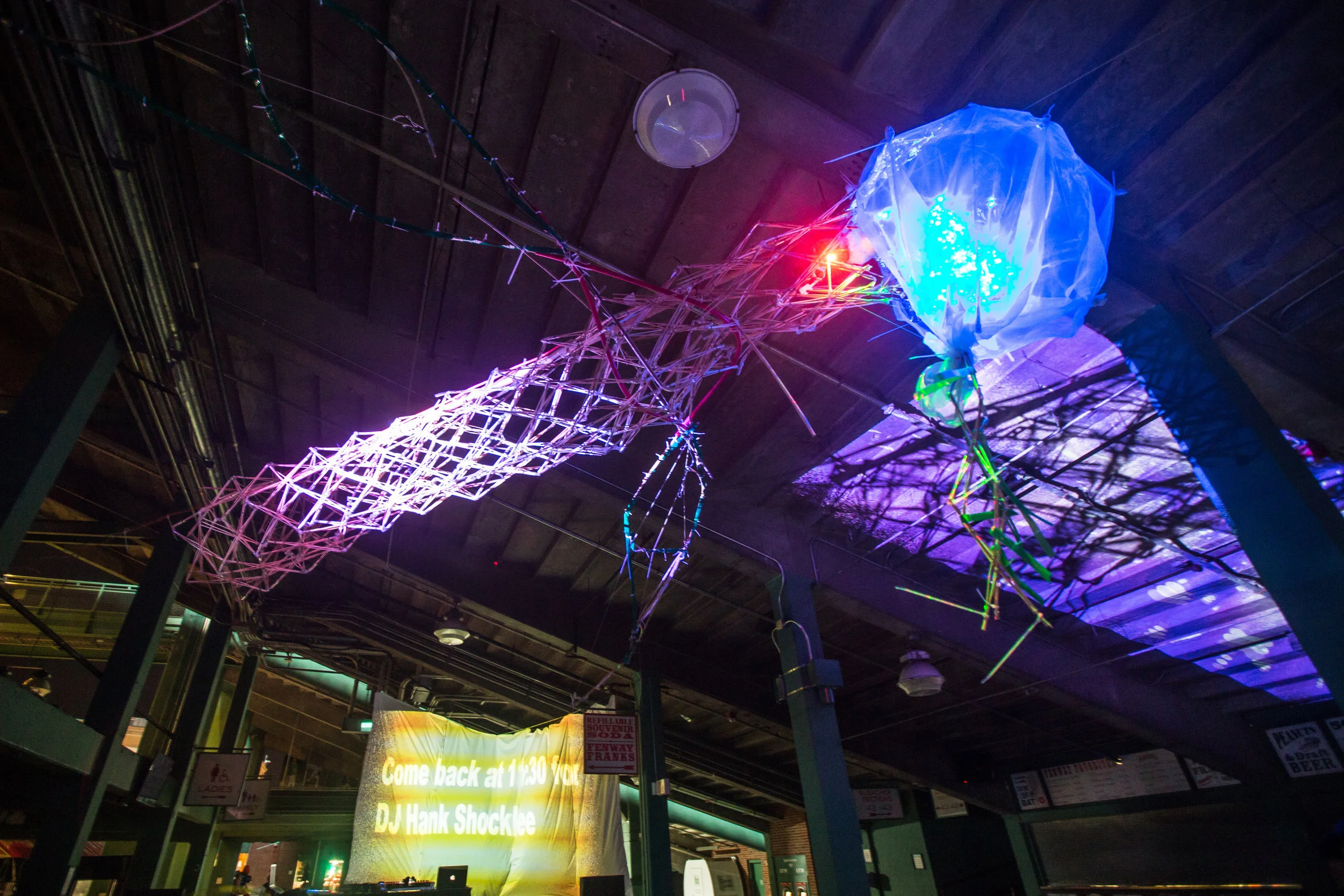The ElectroFunk Mixtape- Illuminus Edition_Nettrice Gaskins_Illuminus 2015_Photo by Aram Boghosian_1.jpg