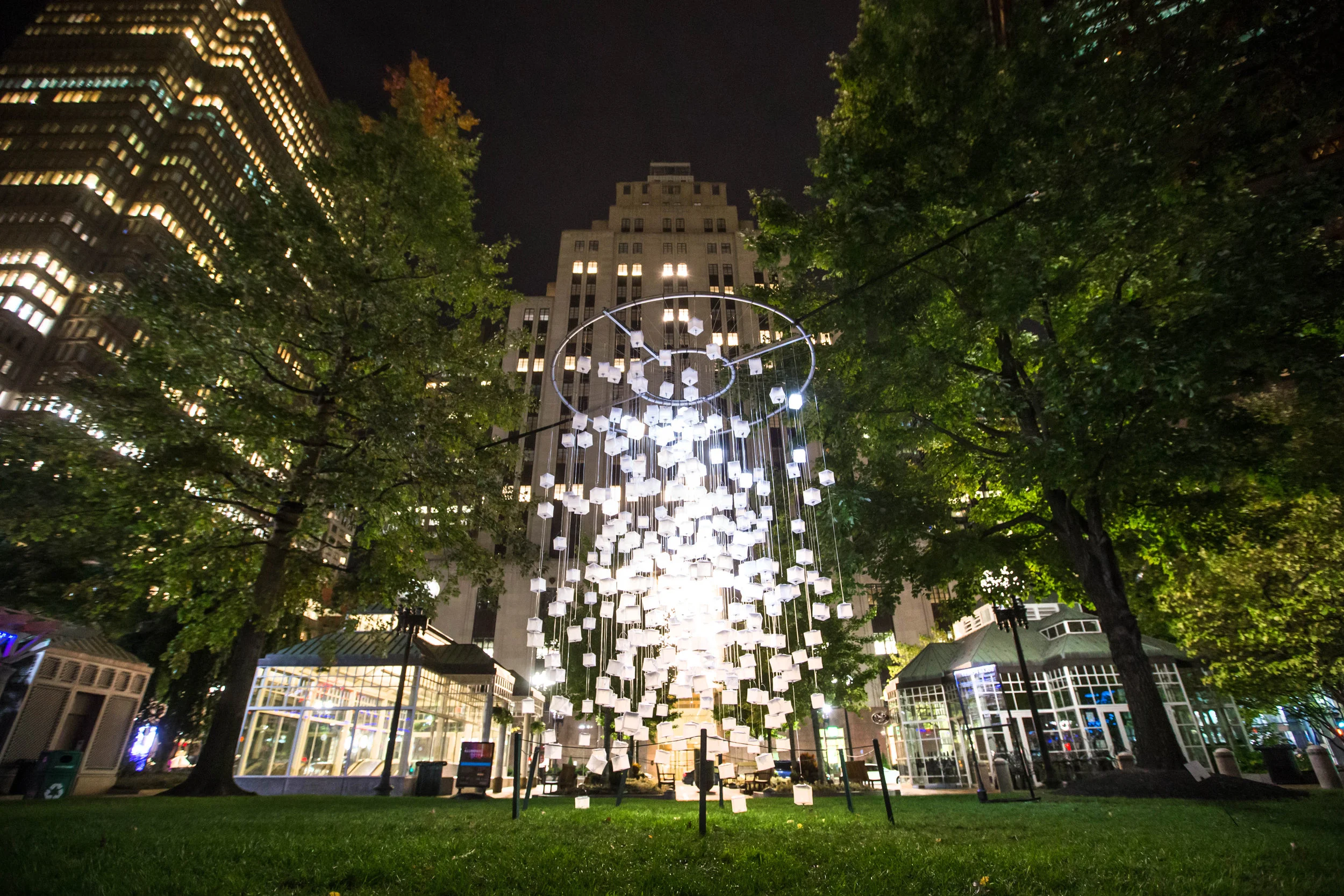 Solar Forest