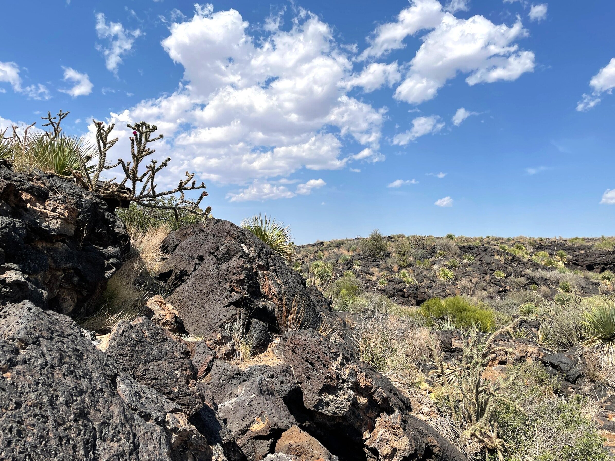 New Mexico Rocks