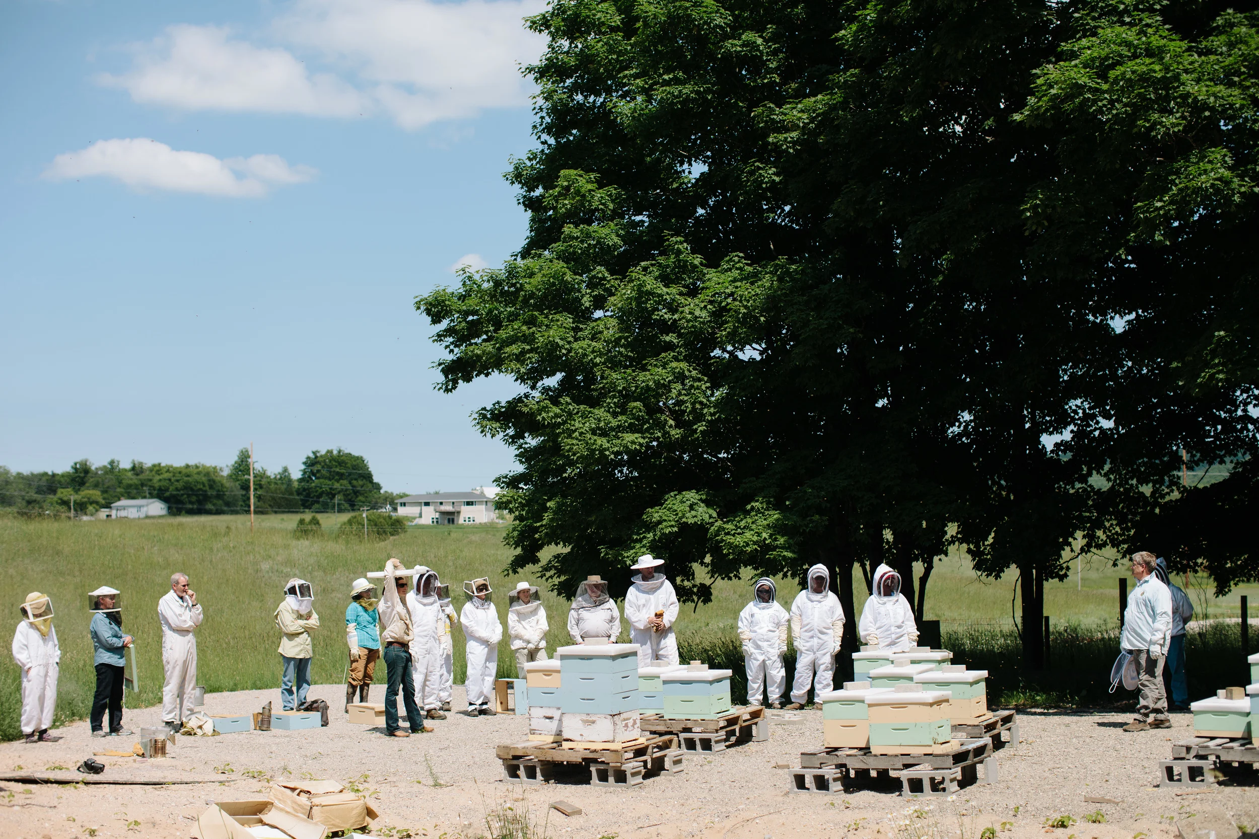 Beekeepers 37.JPG