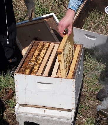 Traverse City Beekeeping Guild Monthly Meeting